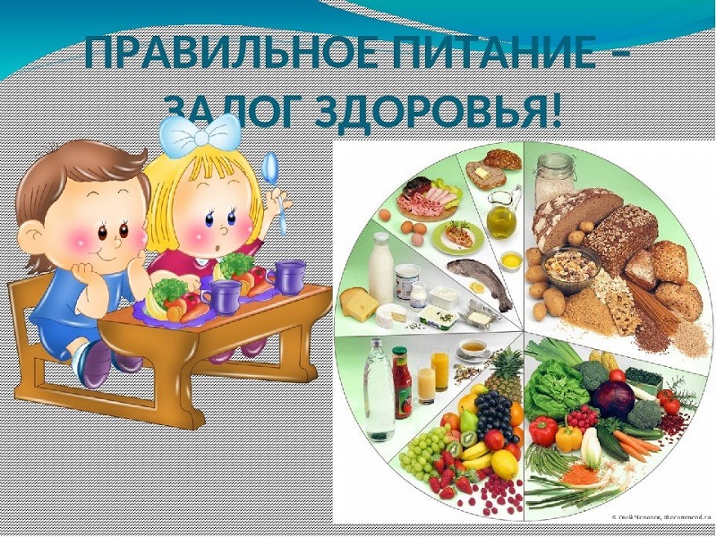 О требованиях по организации качественного питания детей в организациях отдыха и оздоровления.