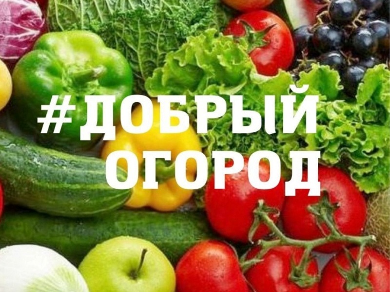 #ДОБРЫЙ ОГОРОД-2023: сезон открыт.