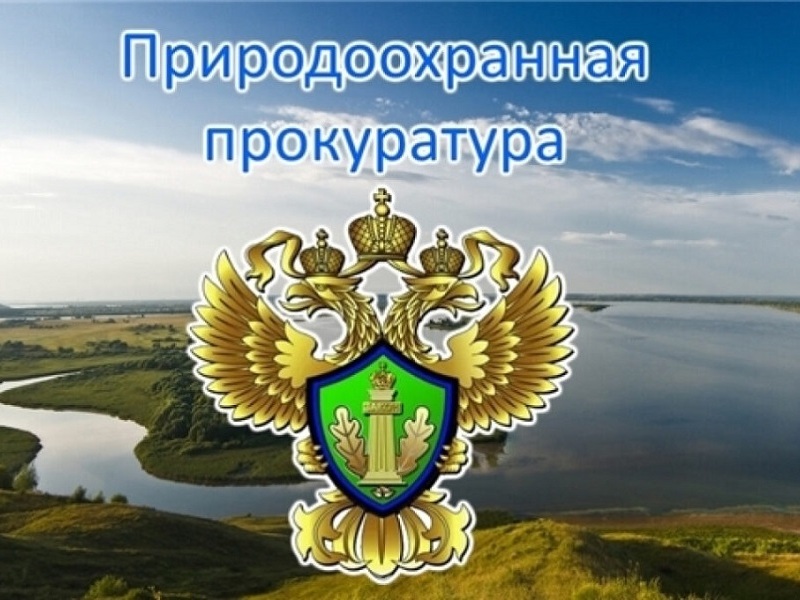 В Калмыкии суд удовлетворил требования природоохранной прокуратуры  и обязал организацию оборудовать линии электропередач птицезащитными устройствами.