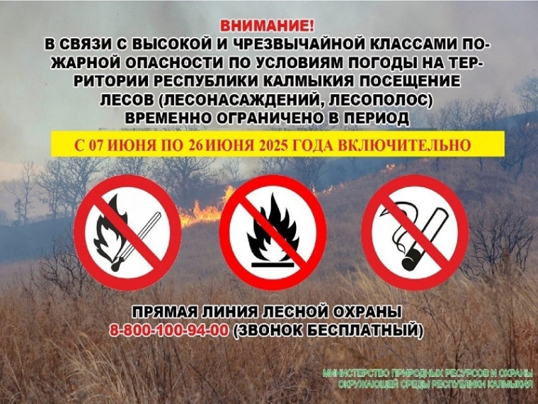Внимание!. Внимание!.